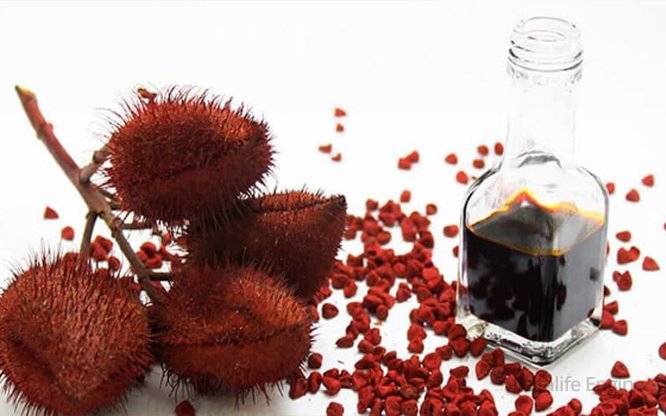 Бета каротин (Beta Carotene) натуральный пищевой краситель!