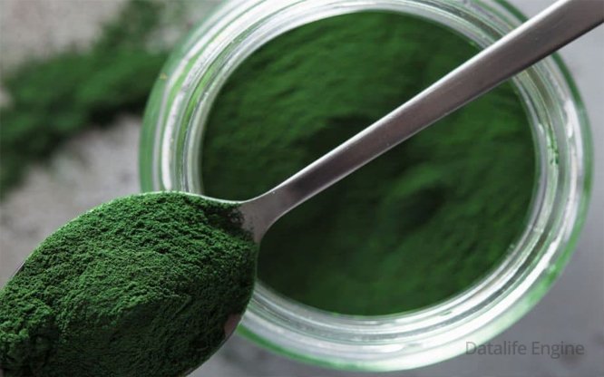 Хлорофил ( chlorophyll ) натуральный пищевой краситель !