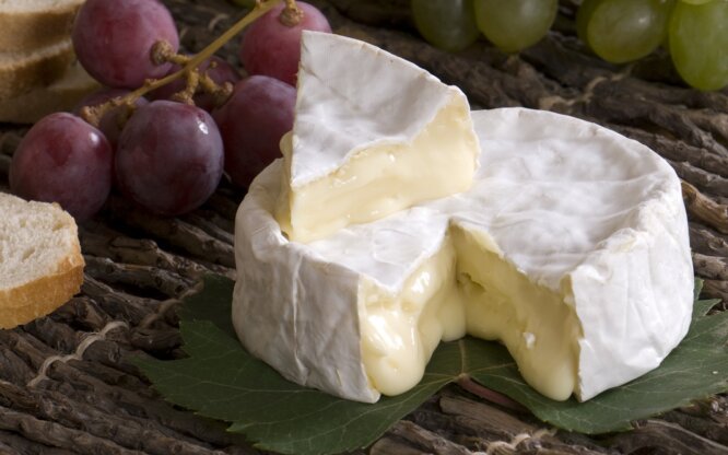Рецепт сыра Камамбер